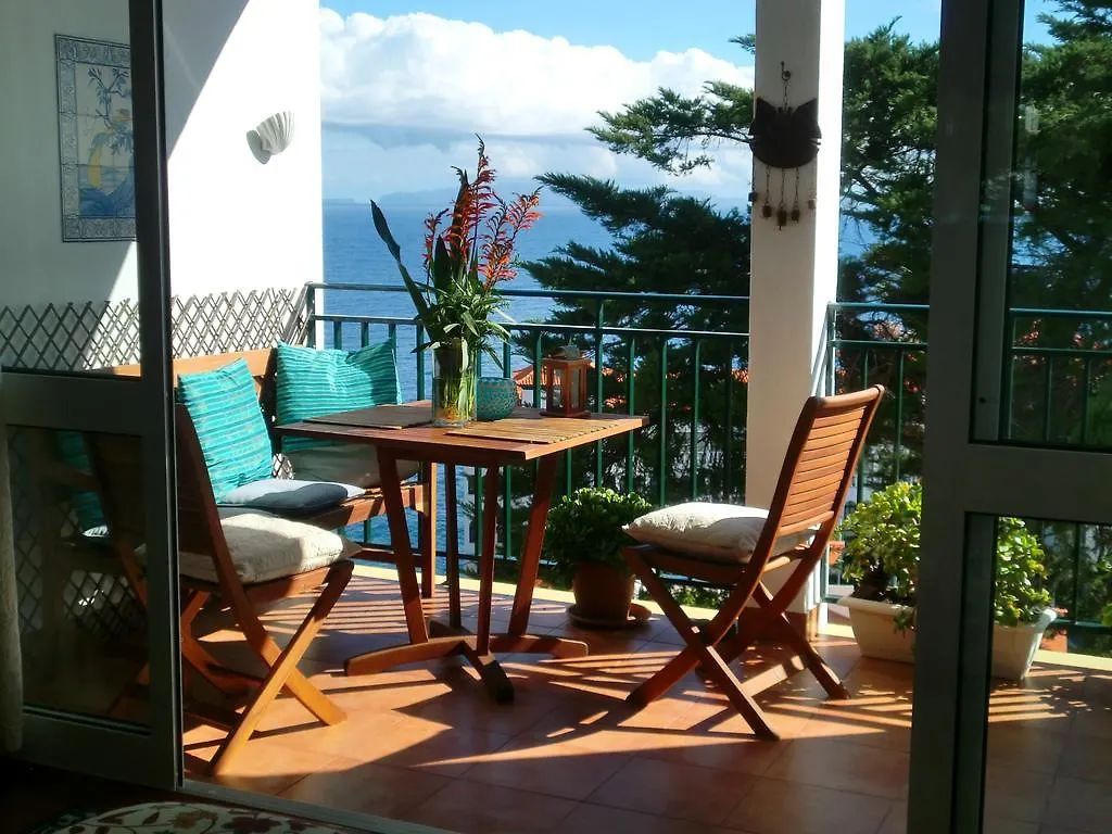 Apartment Palma Madeira Wandern Und Tauchen Caniço